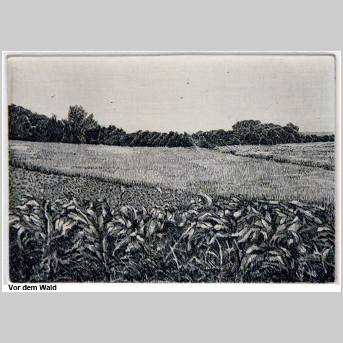 Vor dem Wald