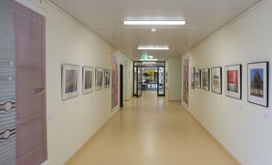 SHADE - Fotografische Bilder, BBK-Artothek, Klinikum Hildesheim (2014)